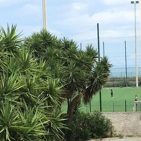 Daire Joli 3p Au Calme Antibes